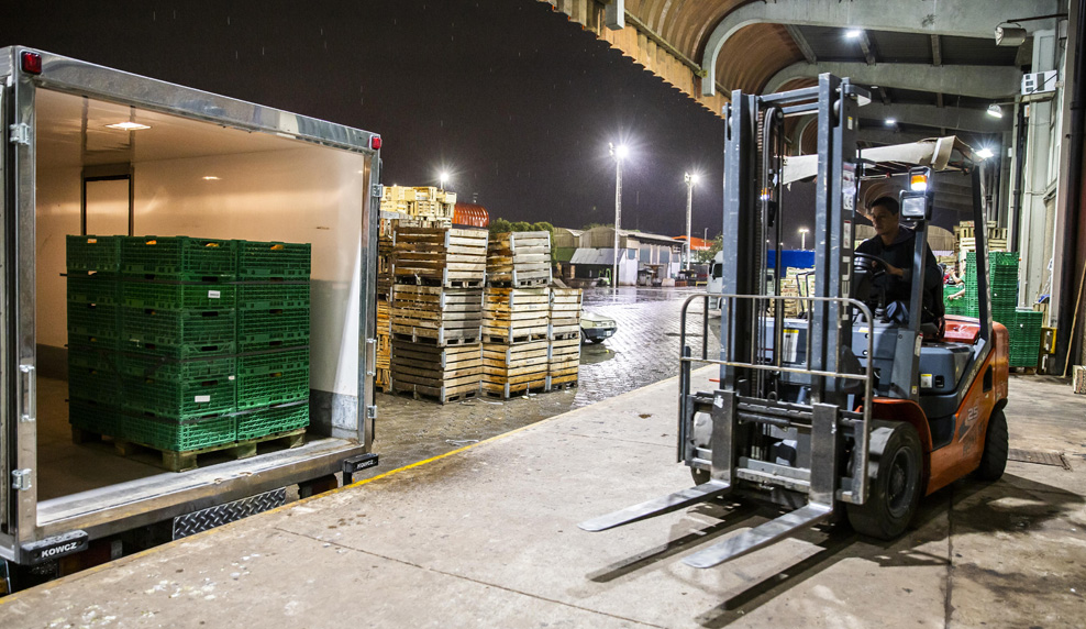 Información para operadores y cooperativas de descarga Mercado Central